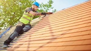 Best Roof Moss and Algae Removal  in Georgetown, IL