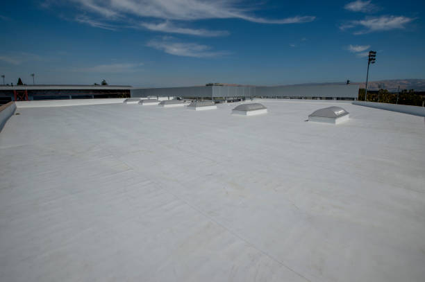 Best Skylight Installation and Repair  in Georgetown, IL