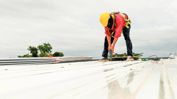 Best Roof Coating and Sealing  in Georgetown, IL