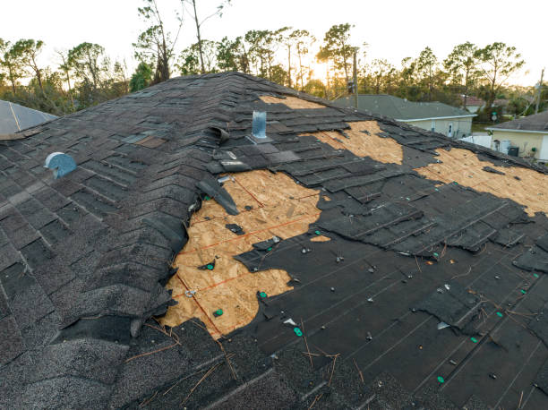 Best Rubber Roofing (EPDM, TPO)  in Georgetown, IL