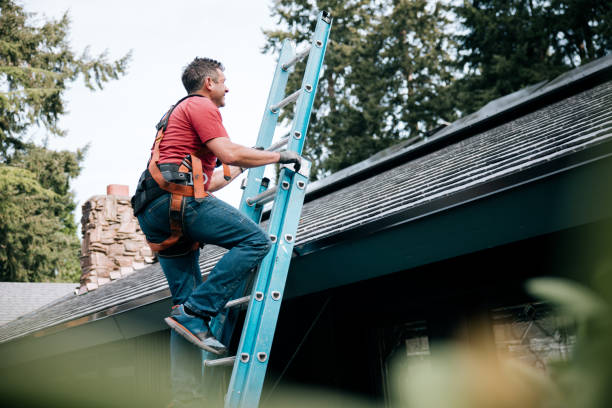 Best Gutter Installation and Repair  in Georgetown, IL